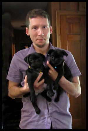 Jonathan with his boys Targaryen & Winterfell on adoption day in Sept. 2019 - Adult Black Pug | Did you ever walk into a room and forget why you walked in? I think that is how dogs spend their lives.