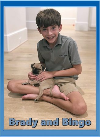 Nate shared Bingo with his brother for a picture - Apricot Pug Puppies | Every boy who has a dog should also have a mother, so the dog can be fed regularly.