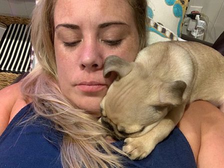 Ashley has her own personal neck warmer! - Fawn Pug Puppies | If dogs could talk, perhaps we would find it as hard to get along with them as we do with people.