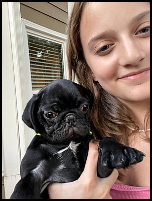 Someone is a natural at the proper way to hold a puppy! - Black Pug Puppies | The dog was created specially for children. He is the god of frolic.