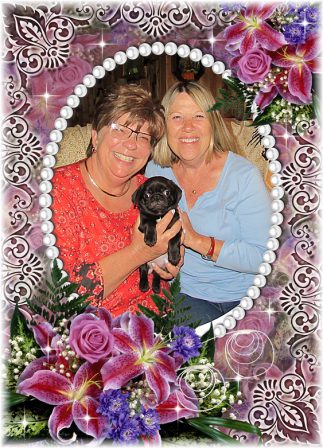 Deb and her best friend shown with CoCo/Gatsby's black girl Destiny/Piper - Black Pug Puppies | Money will buy you a pretty good dog, but it won't buy the wag of his tail.