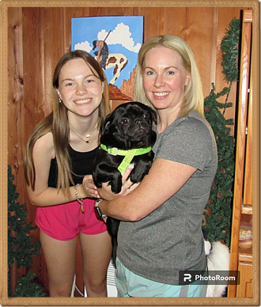 Ellie in good hands with her new family - Adult Black Pug | Whoever said you can’t buy happiness forgot little puppies.