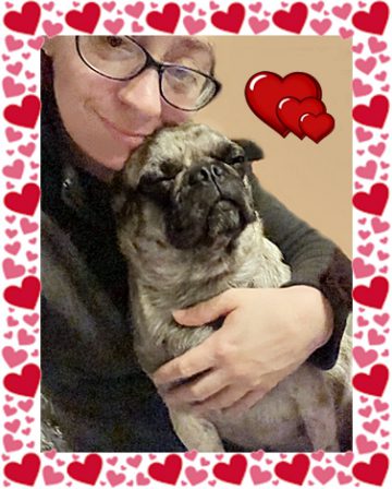 Ashley and Elsa a match made in pug heaven - Adult Merle Pug | No one appreciates the very special genius of your conversation as the dog does.