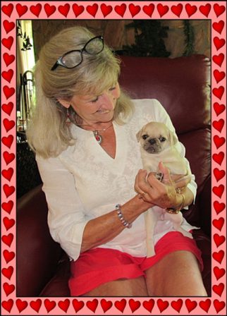 Cocoa's Galadriel/Millie with her new mom Gayle - Merle Pug Puppies | The dog is a gentleman; I hope to go to his heaven not man's.