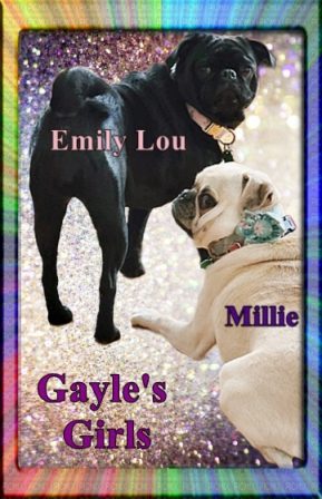 Emily Lou is out of Lady Blue/Sterling and Millie is out of Cocoa/Moody Blue - Adult Multiple Color Pugs | My goal in life is to be as good of a person my dog already thinks I am.