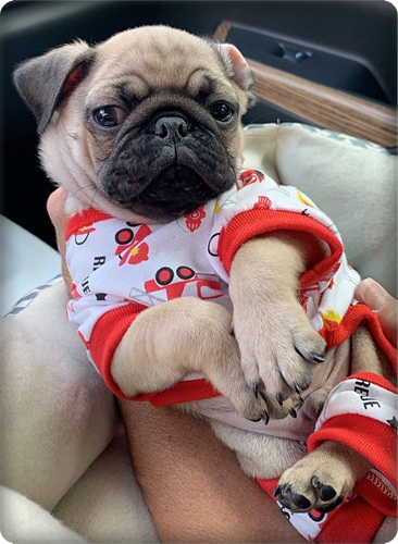 Modeling my new jammies!