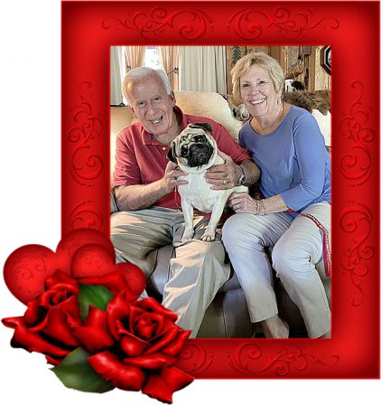 Ginger already loves her new mom and dad, Fran and Bob - Adult Fawn Pug | Whoever said you can’t buy happiness forgot little puppies.