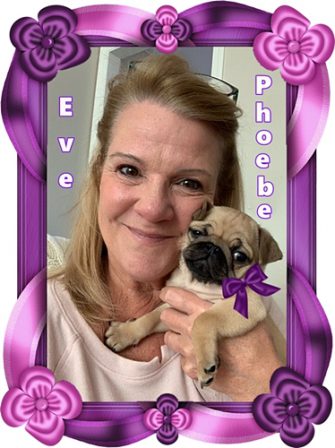 Dixie's/Aiken's sweet girl Jill/Phoebe with her mom Eve - Apricot Pug Puppies | Every boy who has a dog should also have a mother, so the dog can be fed regularly.