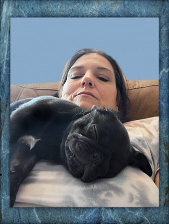 This seems to be a favorite resting place for pugs - Black Pug Puppies | A dog is one of the remaining reasons why some people can be persuaded to go for a walk.