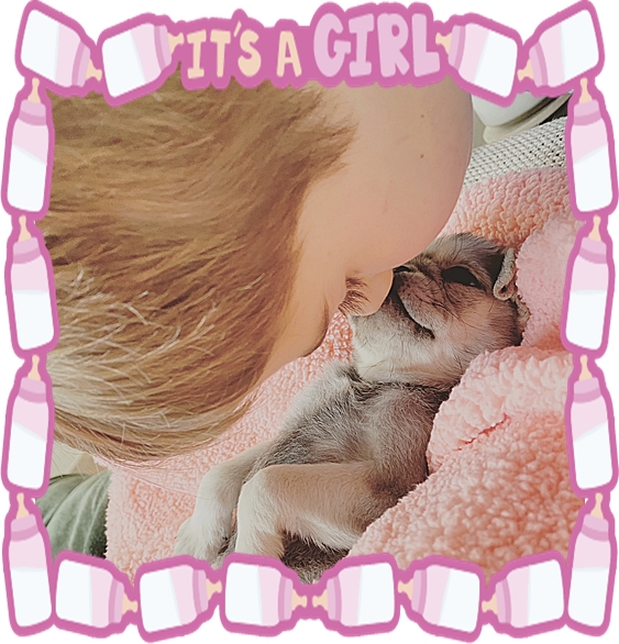 Pug hugs and kisses!