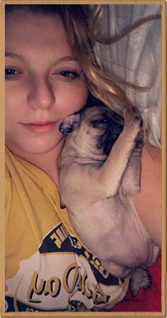 Ever hear of a pug hairbrush? - Fawn Pug Puppies | Petting, scratching, and cuddling a dog could be as soothing to the mind and heart as deep meditation and almost as good for the soul as prayer.