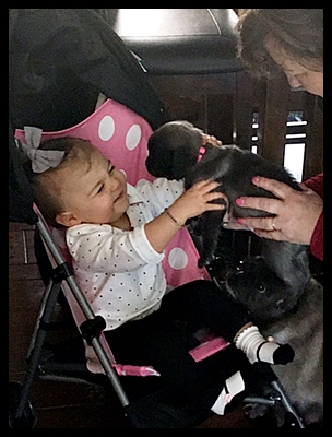 Is this a precious picture or what! - Silver Pug Puppies | Petting, scratching, and cuddling a dog could be as soothing to the mind and heart as deep meditation and almost as good for the soul as prayer.