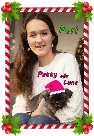 Pretty Peri with precious Patty/Luna Christmas 2023 - Silver Pug Puppies | A dog is the only thing that can mend a crack in your broken heart.