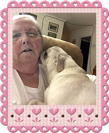 Linda and Piama are like bread and butter! - Adult White Pug | Outside of a dog, a book is man's best friend - inside of a dog it's too dark to read.
