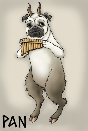 Pan the Pug - LOL! - Adult Fawn Pug | Don't accept your dog's admiration as conclusive evidence that you are wonderful.