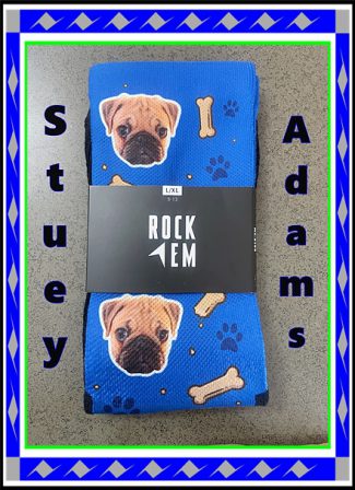 Mia's teacher loves Stuey so she gave him socks with Stuey's picture - Apricot Pug Puppies | Dogs love their friends and bite their enemies, quite unlike people, who are incapable of pure love and always mix love and hate.