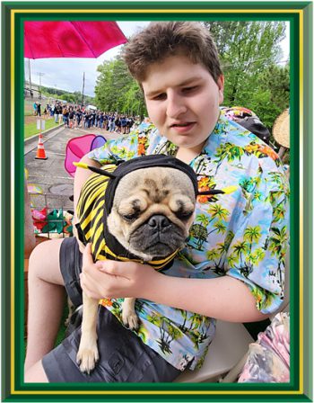 Willow is a bumble bee on the garden themed float - Multiple Color Pugs - Puppies and Adults | No one appreciates the very special genius of your conversation as the dog does.