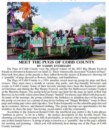 Pugs of Cobb County has 350+ members! - Multiple Color Pugs - Puppies and Adults | Outside of a dog, a book is man's best friend - inside of a dog it's too dark to read.