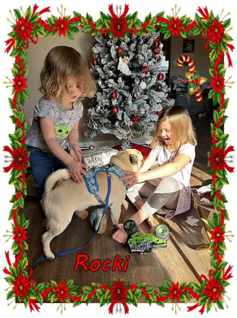Rocki back home with his girls - Adult Fawn Pug | One reason a dog can be such a comfort when you're feeling blue is that he doesn't try to find out why.