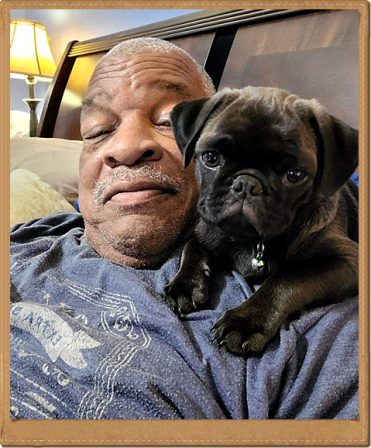 Howard and Maximus are Best Buds! - Silver Pug Puppies | Did you ever walk into a room and forget why you walked in? I think that is how dogs spend their lives.