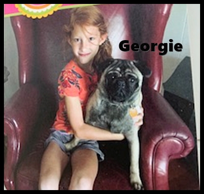 Snickers/Georgie looks like his dad Mufasa