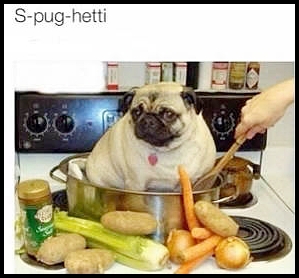 S-pug-hetti indeed! - Adult Fawn Pug | The one absolutely unselfish friend that man can have in this selfish world, the one that never deserts him, the one that never proves ungrateful or treacherous, is his dog.