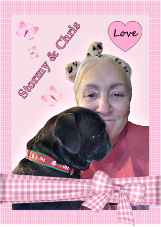 Stormy & Chris = Pug Love - Adult Silver Pug | A dog is the only thing on earth that loves you more than you love yourself.