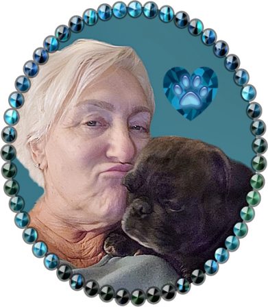 The lovely Lloyd Ladies - Adult Silver Pug | Dogs love their friends and bite their enemies, quite unlike people, who are incapable of pure love and always mix love and hate.