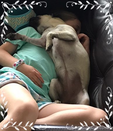 A Girl and Her Dog - Adult Fawn Pug | A dog will teach you unconditional love, if you can have that in your life, things won't be too bad.