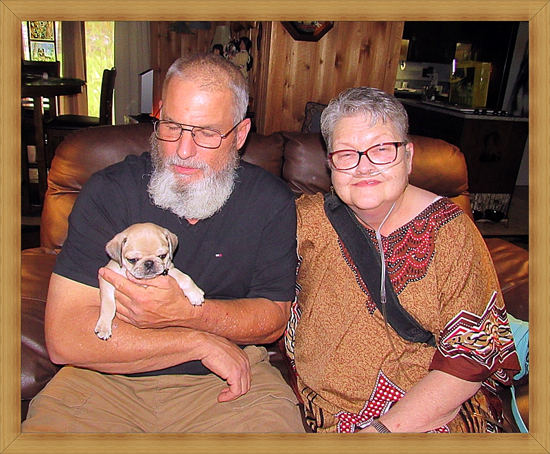 Puddin's male chinchilla Xander/Pan with Walter & Lisa