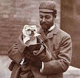 Picture of a white pug in 1890 - Adult White Pug | The one absolutely unselfish friend that man can have in this selfish world, the one that never deserts him, the one that never proves ungrateful or treacherous, is his dog.